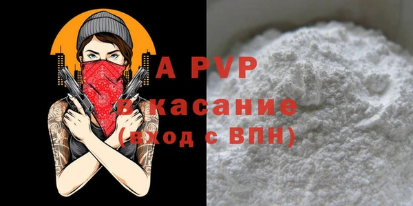 прущие крисы Белокуриха
