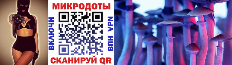 Галлюциногенные грибы Psilocybe  Мамадыш 